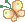 pap